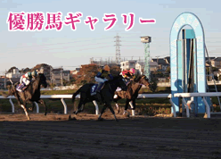 重賞優勝馬写真