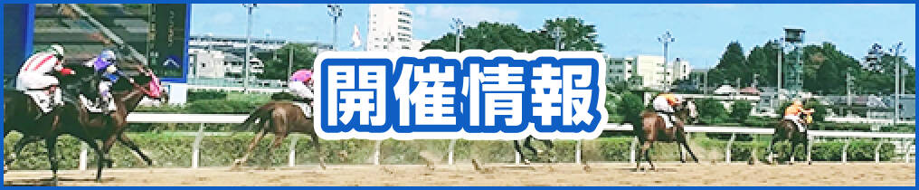 開催情報
